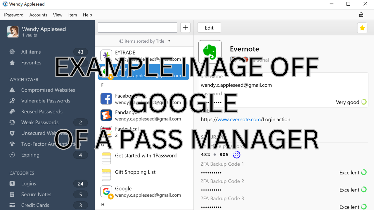Example image of 1Password manager.